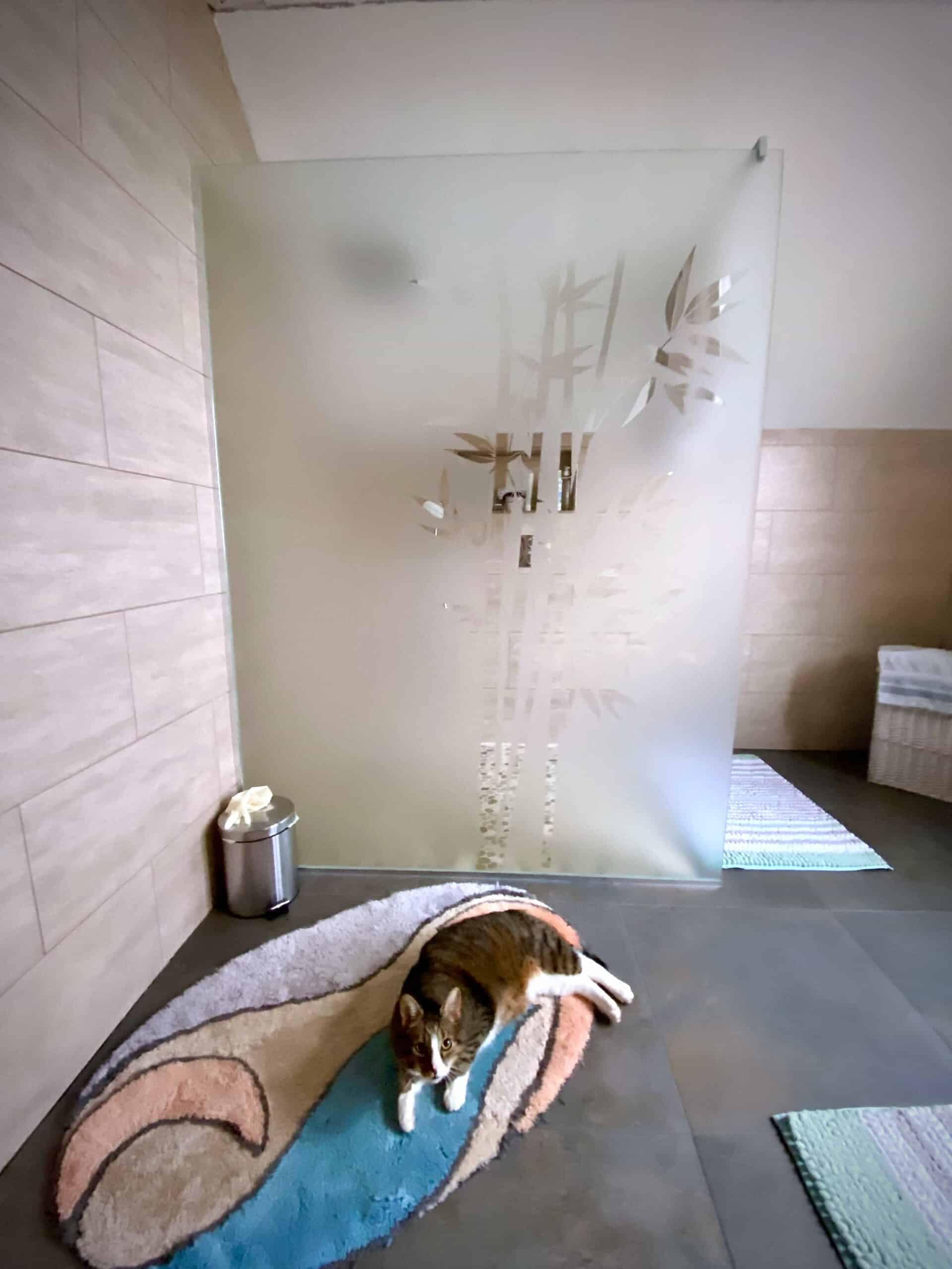 Détail des bambous sablés sur la paroi en verre trempé clair, barre de stabilisation chromée en partie haute