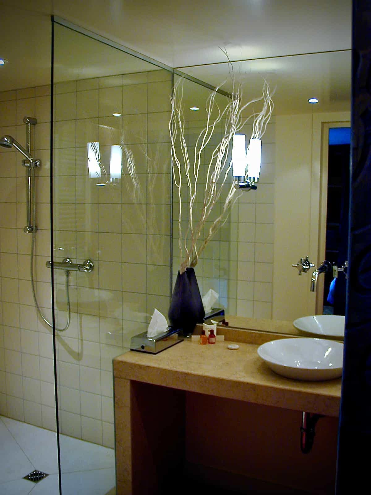 Paroi de douche fixe en verre clair dans une salle de bains d’hôtel