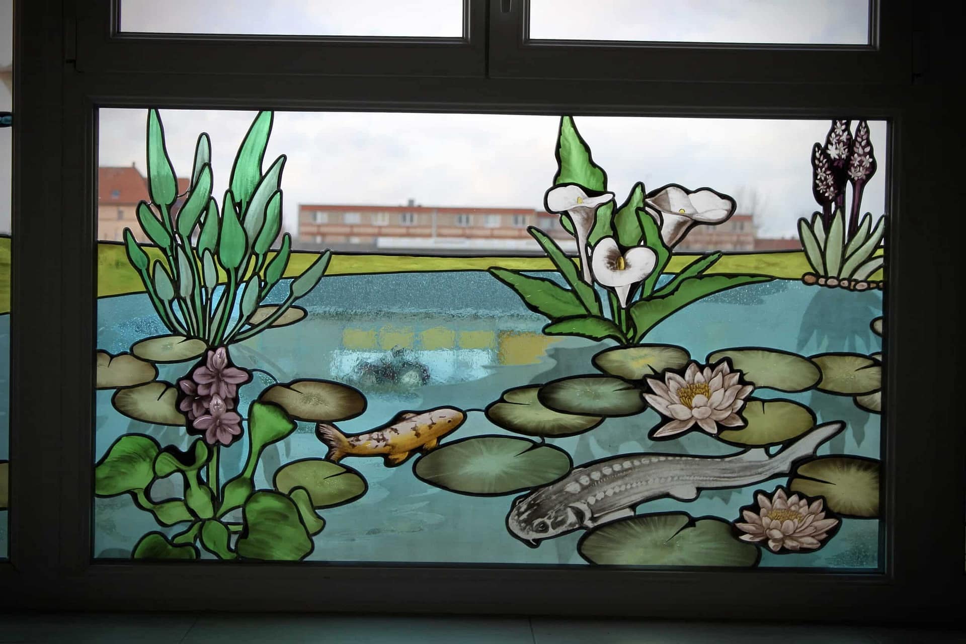 Nénuphars, poissons et arums au bas de la baie