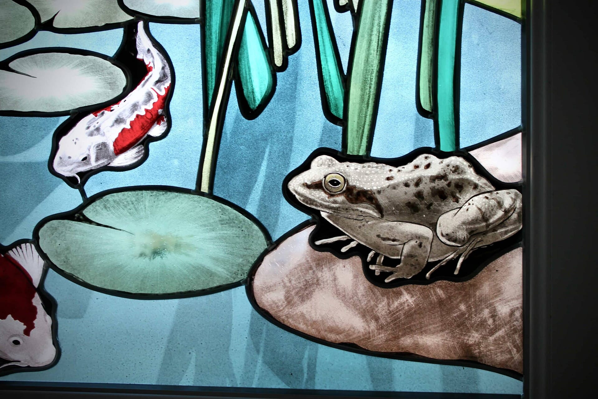 Grenouille posée sur une pierre