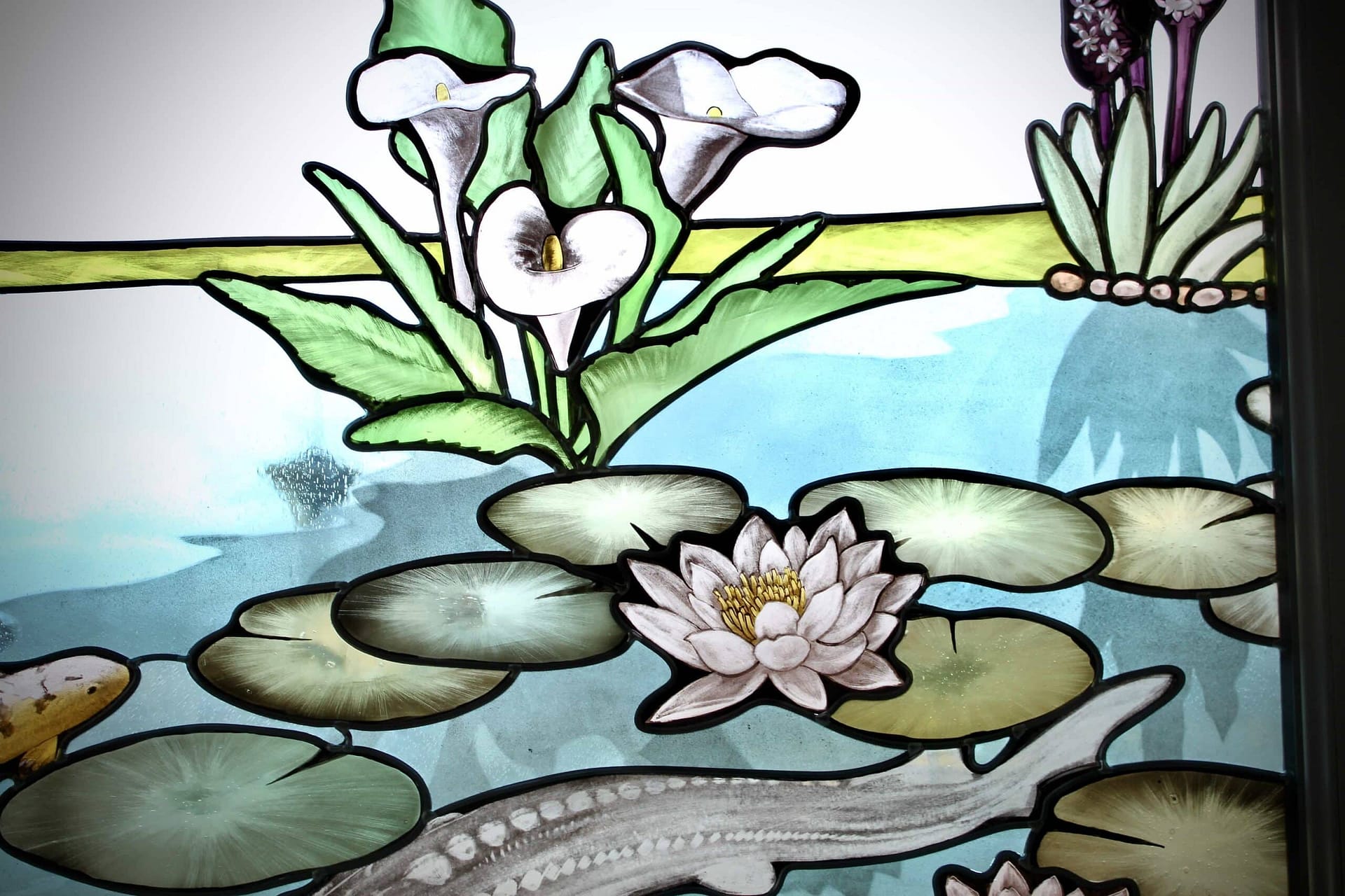 Arums et nénuphars en fleur