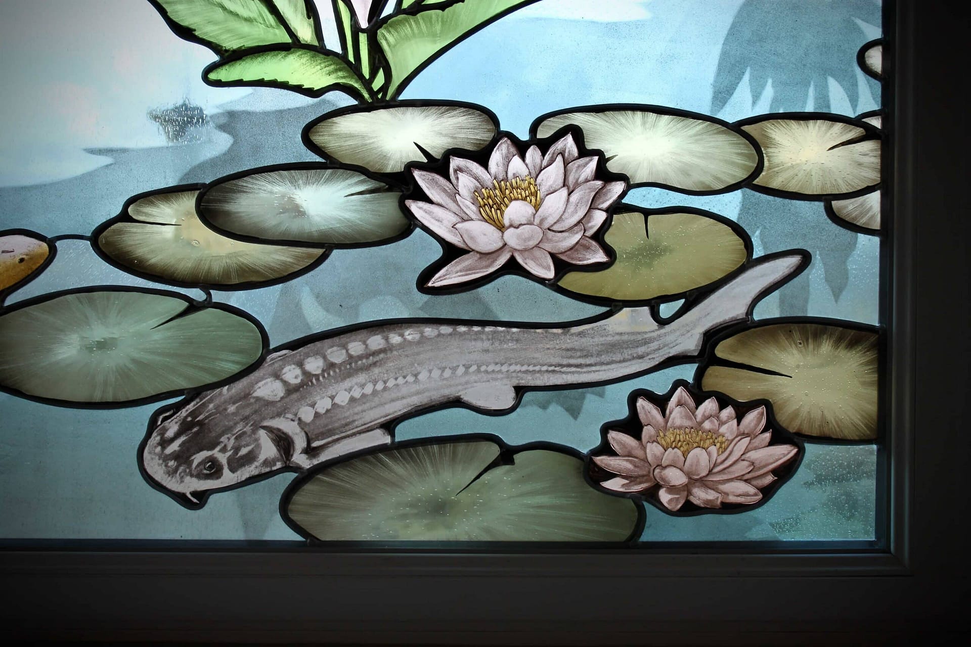 Poisson entre les nénuphars