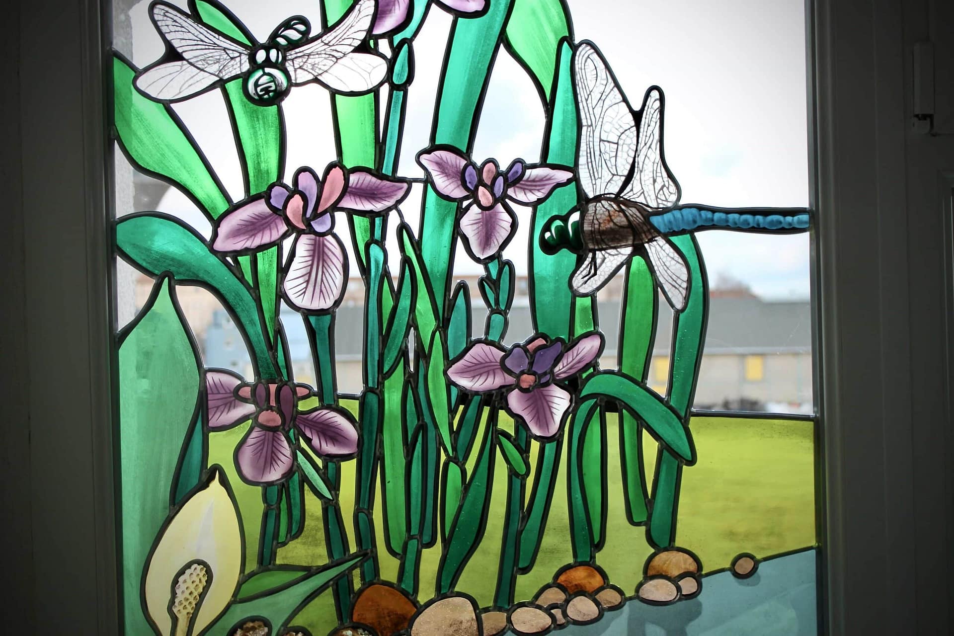 Iris et libellules