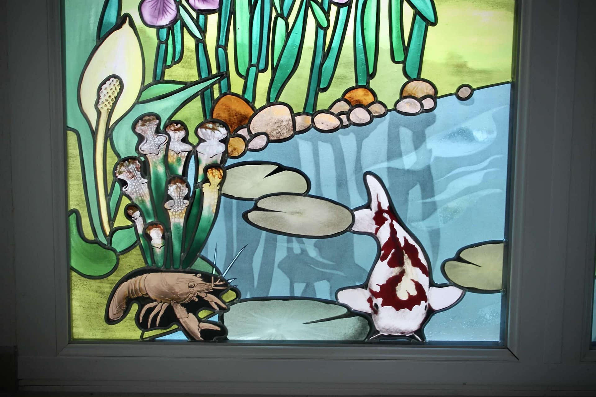 Arums, iris et carpe