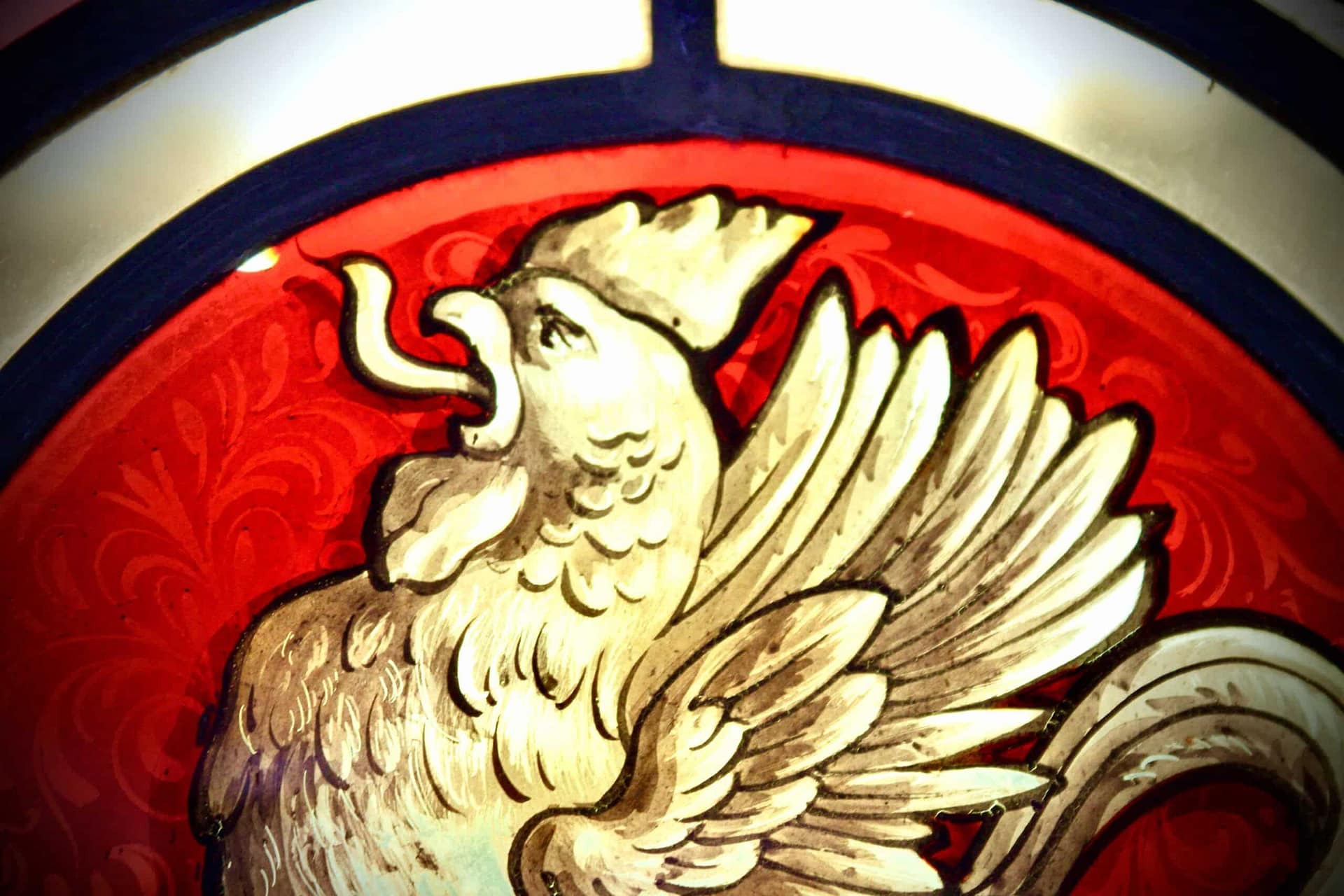Détail de la tête du coq