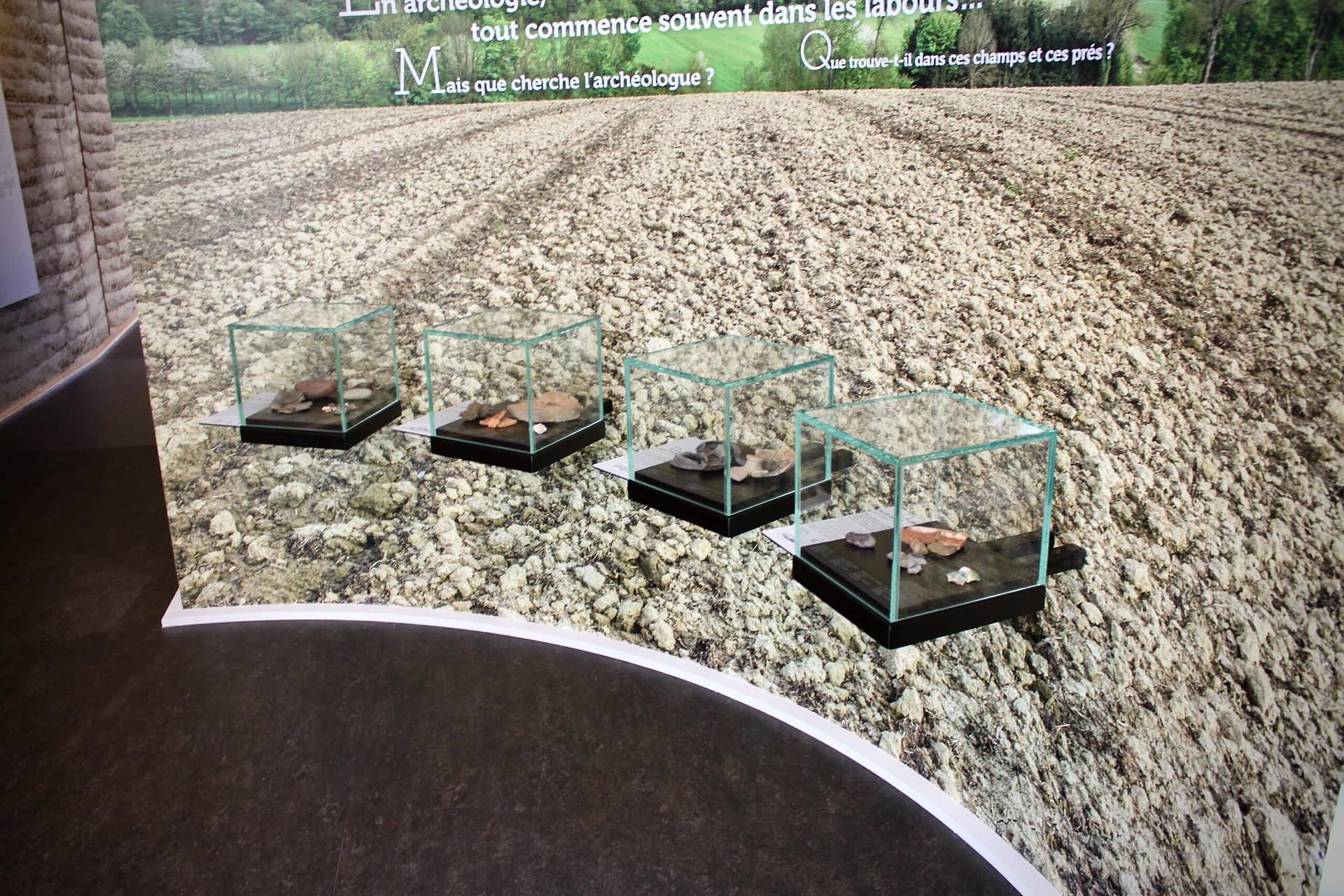 Vitrines en verre alignées devant une photographie de champ