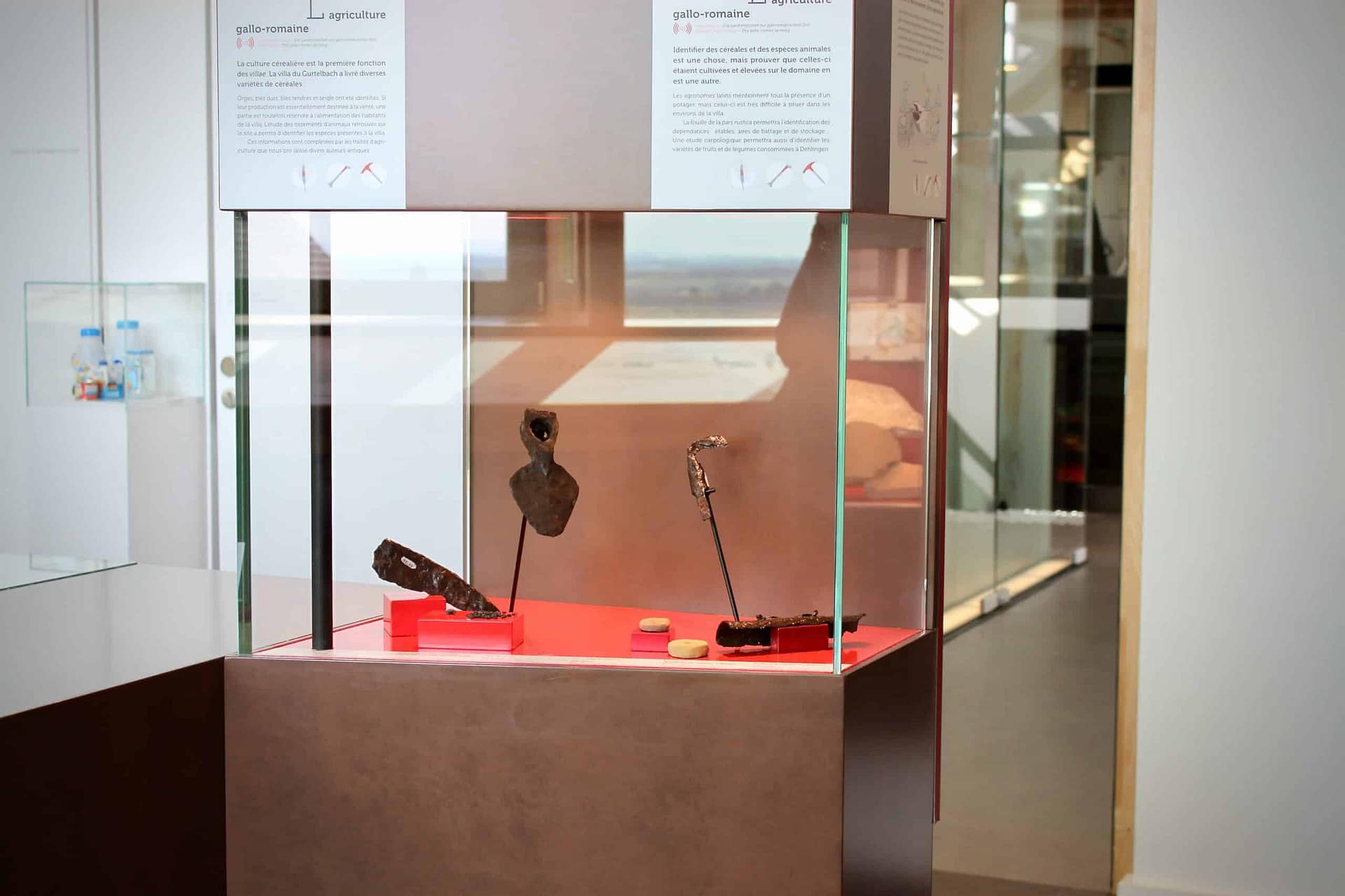 Vitrine en verre clair sur un socle gris
