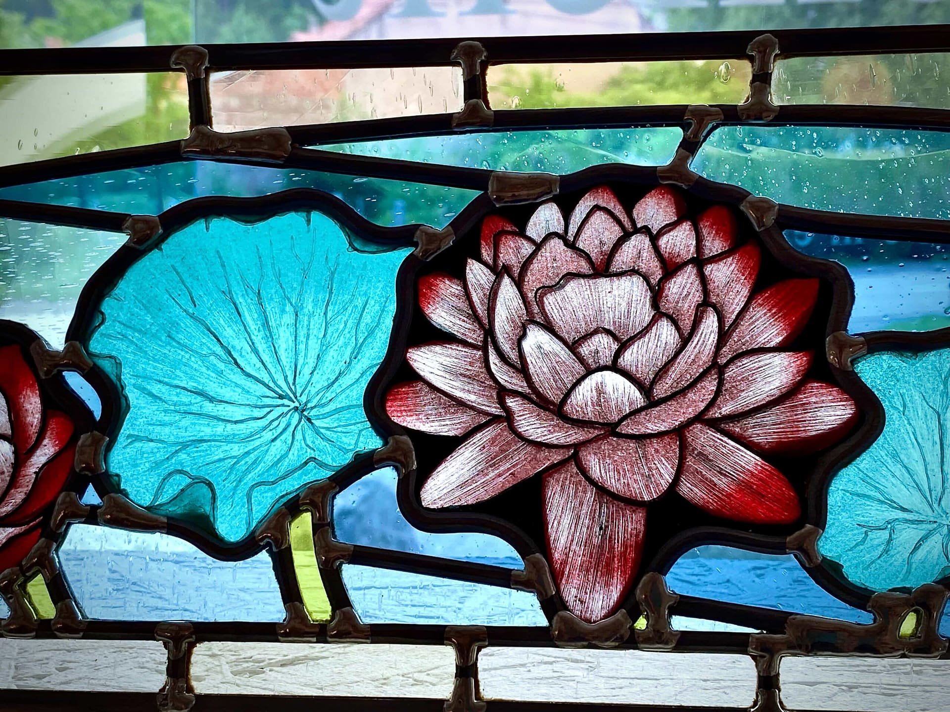 Nymphéa rose aux pétales peints
