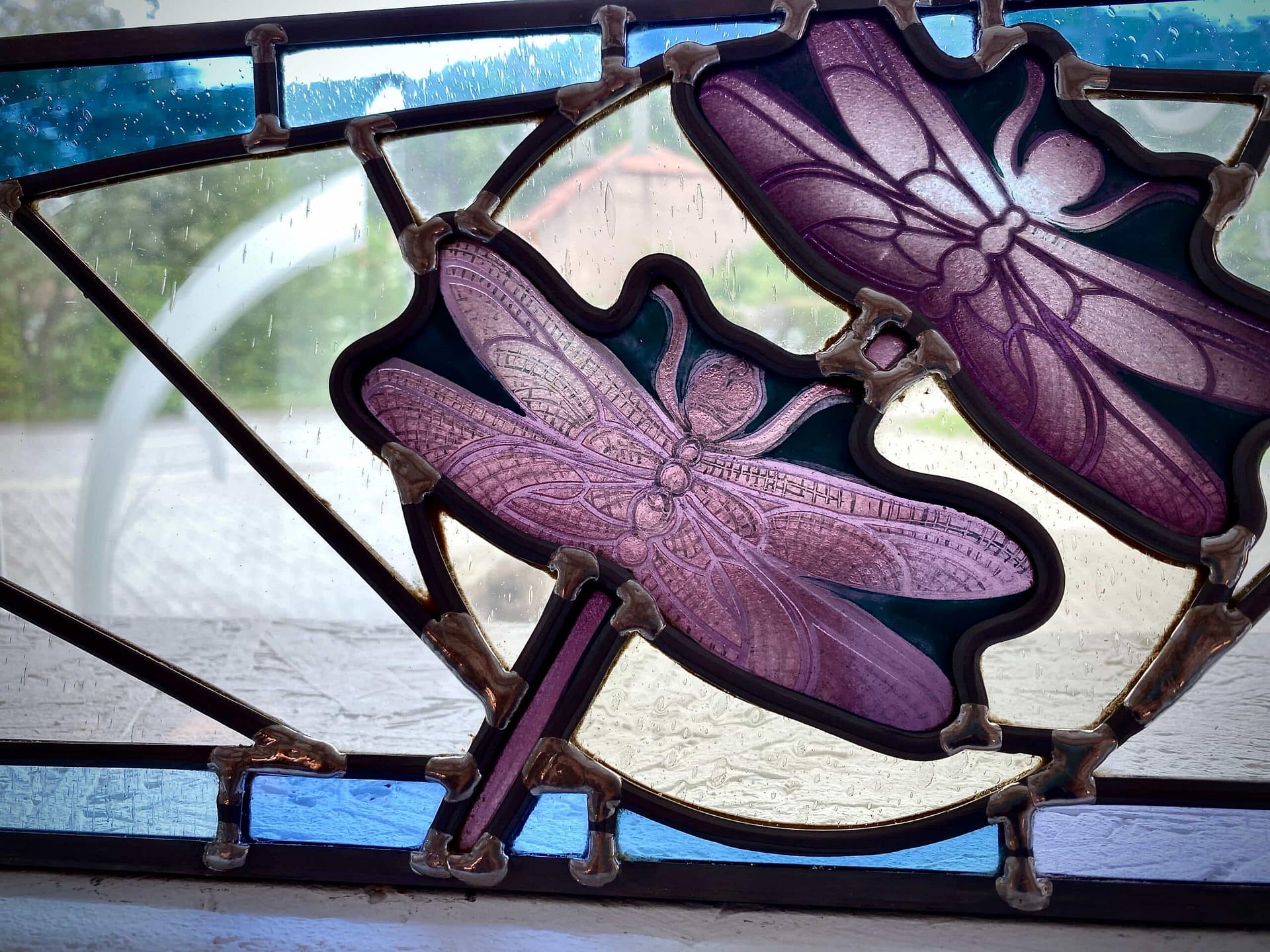 Deux libellules aux ailes peintes