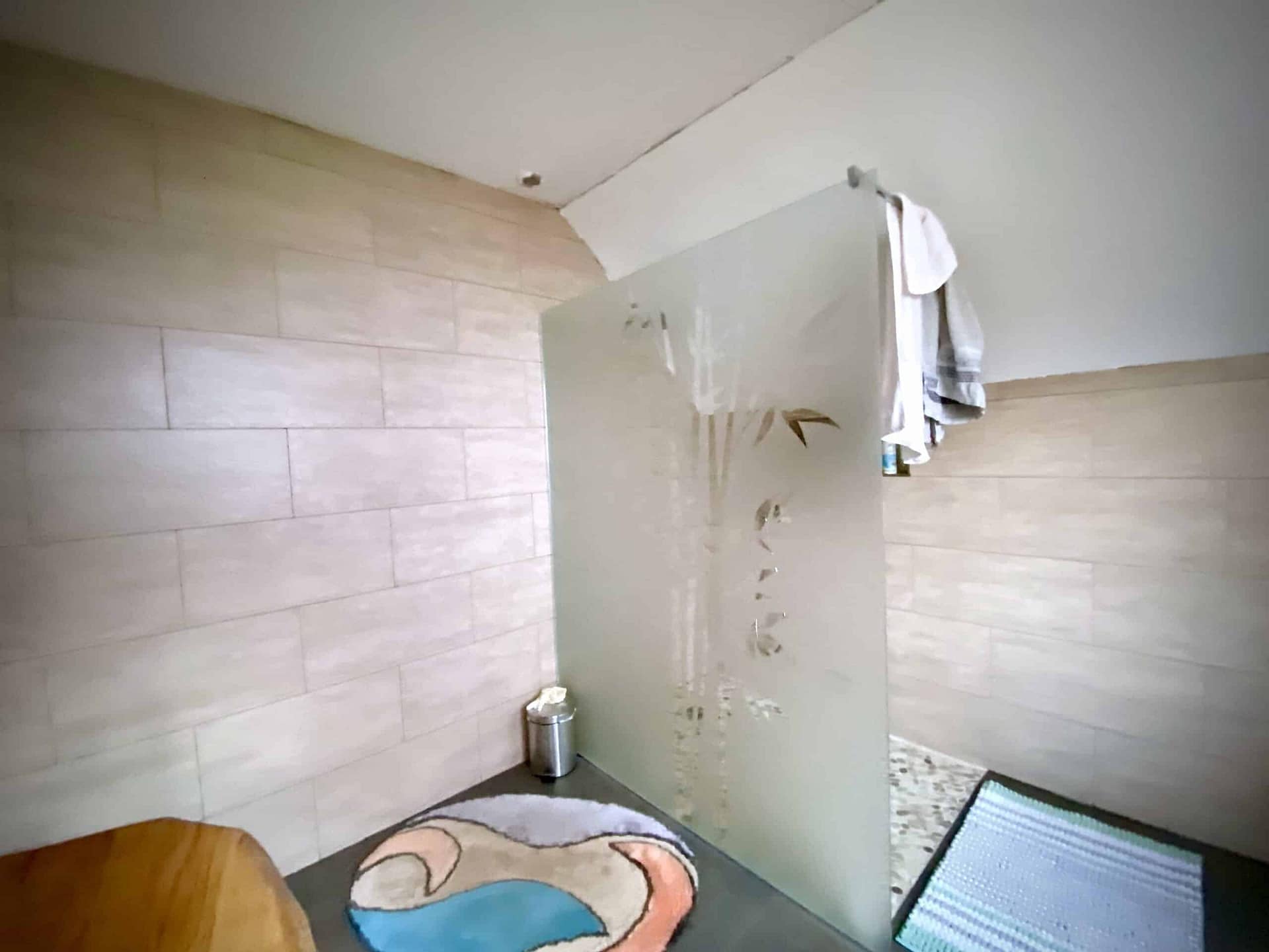 Paroi de douche à l’italienne en verre clair décoré de bambous sablés, dans une salle de bains à Wissembourg