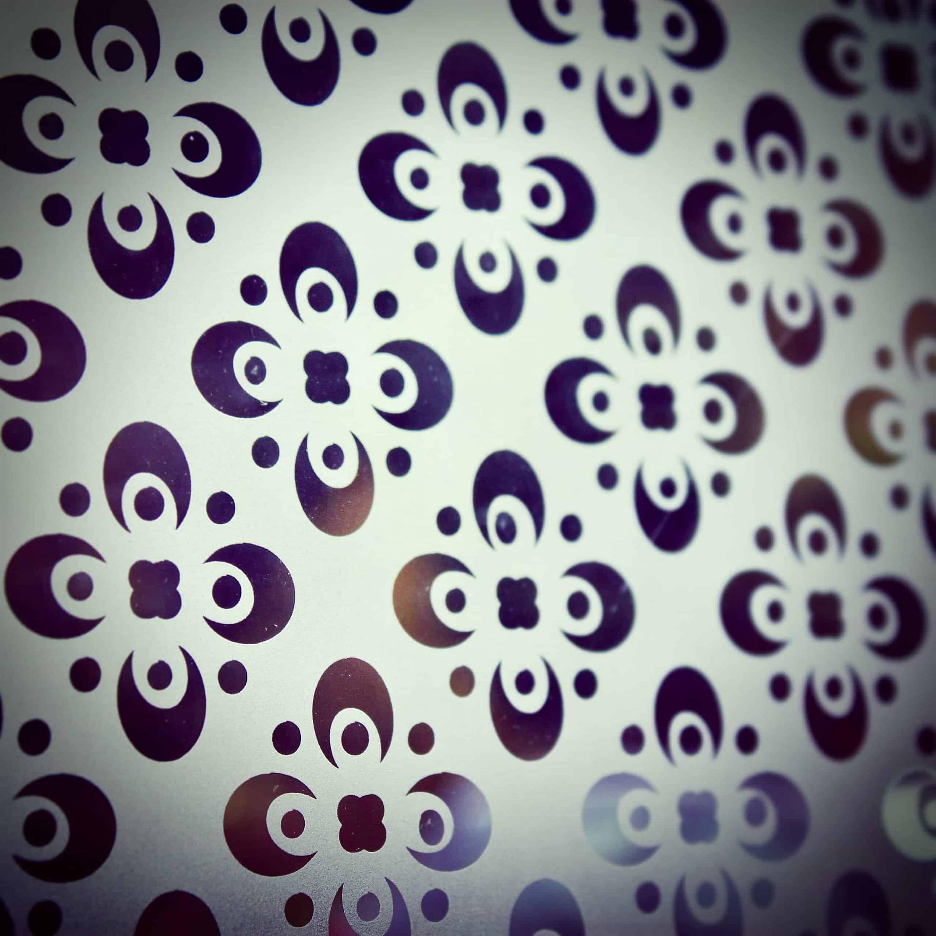 Le motif mousseline à contre-jour